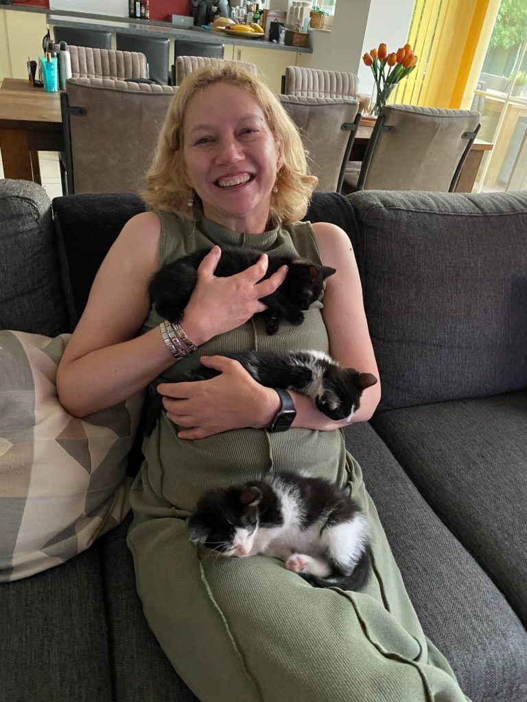 Handen vol kittens