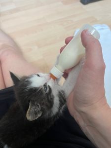 Dhabi drinkt uit het flesje