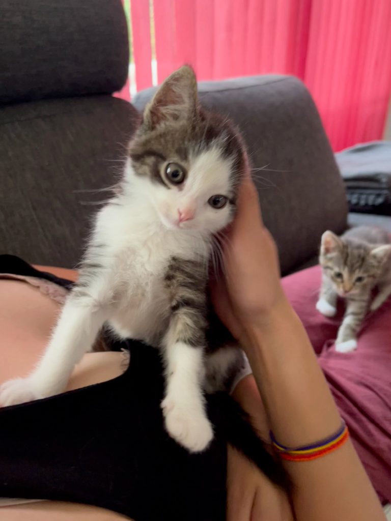 Dhabi houdt van knuffelen