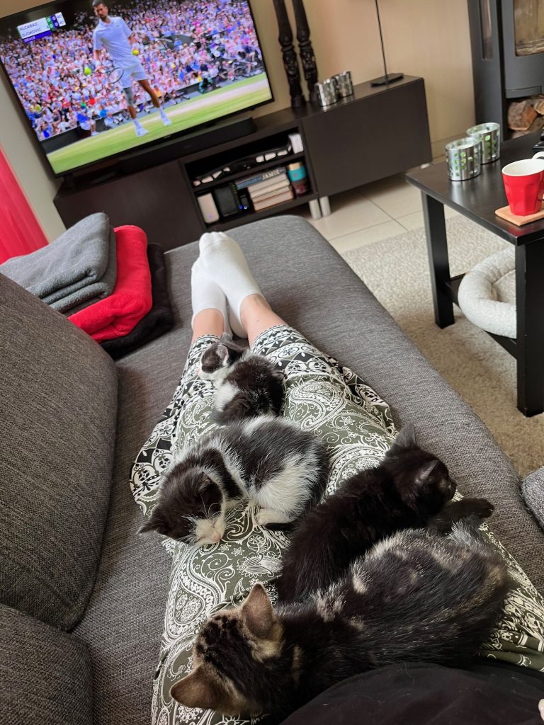 Tennis kijken met vier kleine kittens op schoot