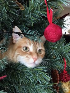Kat in de kerstboom